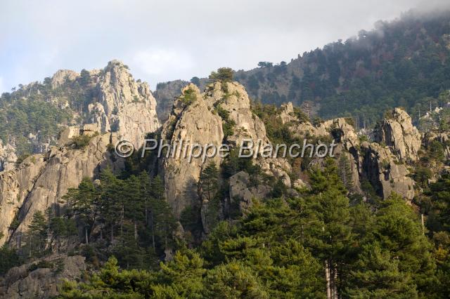 france corse 24.JPG - Gorges de la RestonicaCorse